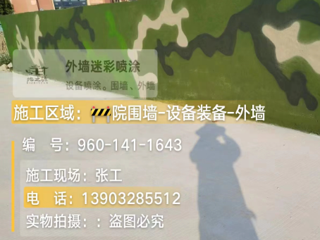 阳泉 迷彩漆喷涂价格（按平方米计费）
